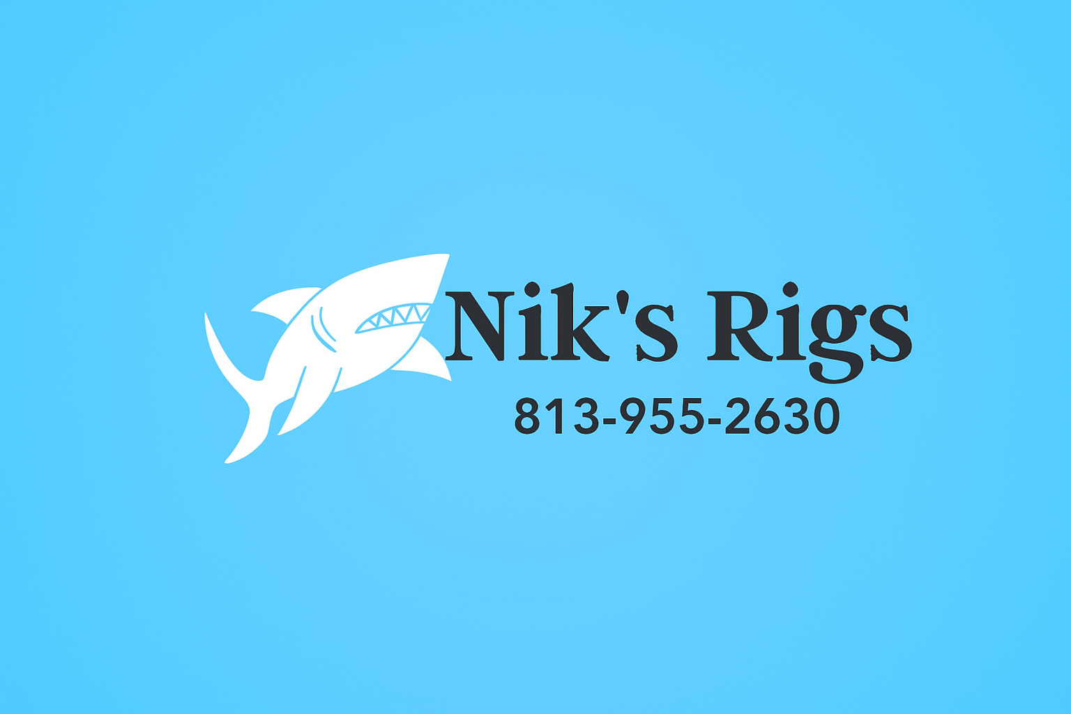Niks rigs