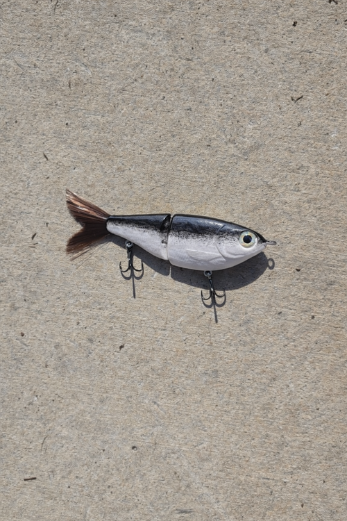 4 inch black mullet glide bait – Niks rigs